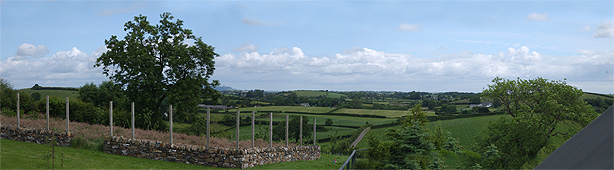 The view over the drumlins towards Scrabo Tower