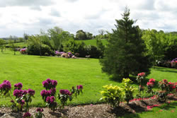 Irish Cottages to Rent - Glassdrumman Cottage - Self Catering