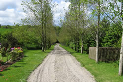 Irish Cottages to Rent - Glassdrumman Cottage - Self Catering